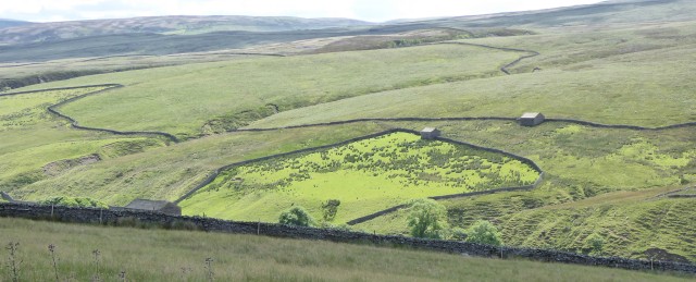 Near the start of the River Swale the bright grassy pasture of Whamp stands out amid the dull green of the moorland.